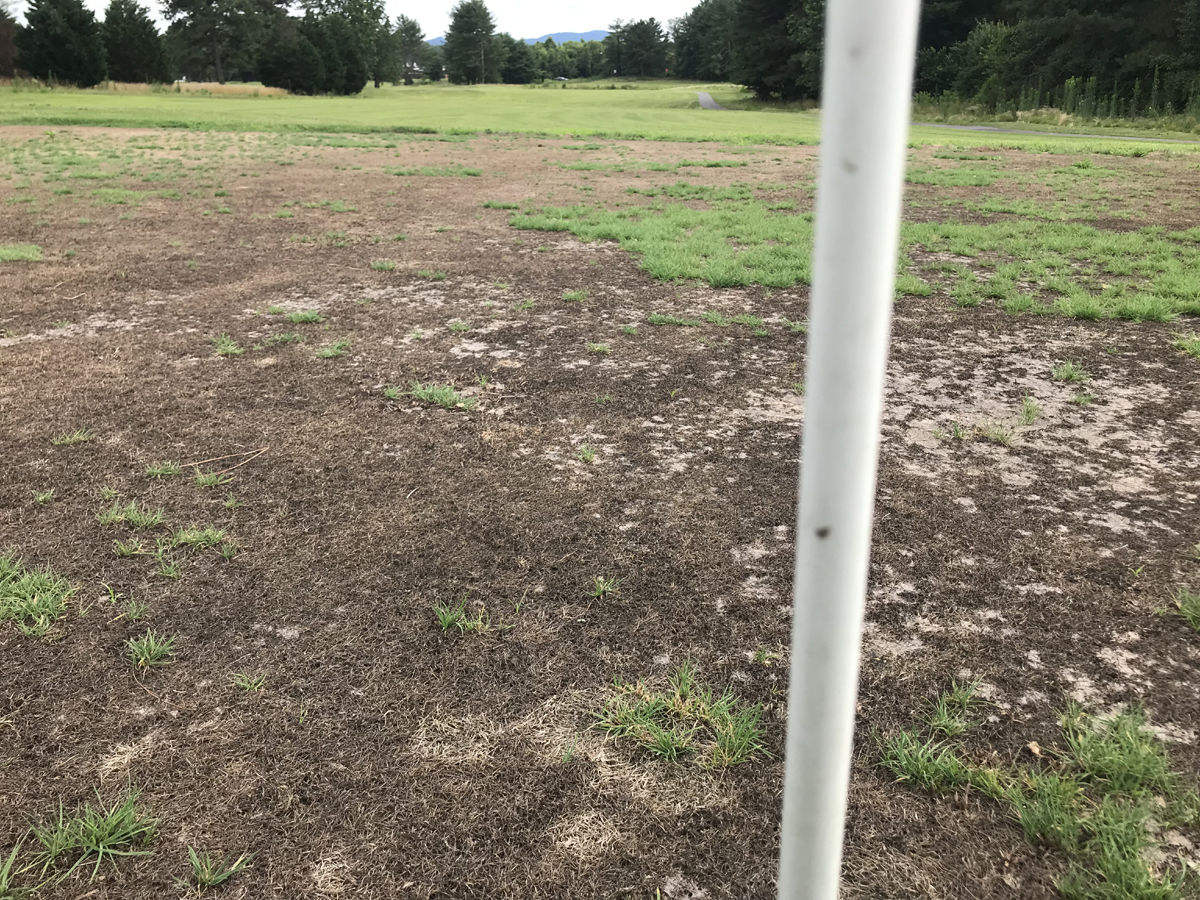 spl0719 Quaker Meadows 3.jpg